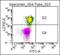 Figure 1. Flow cytometric analysis of a normal blood sample after immunostaining with GM-4133 (Lysozyme-PE)